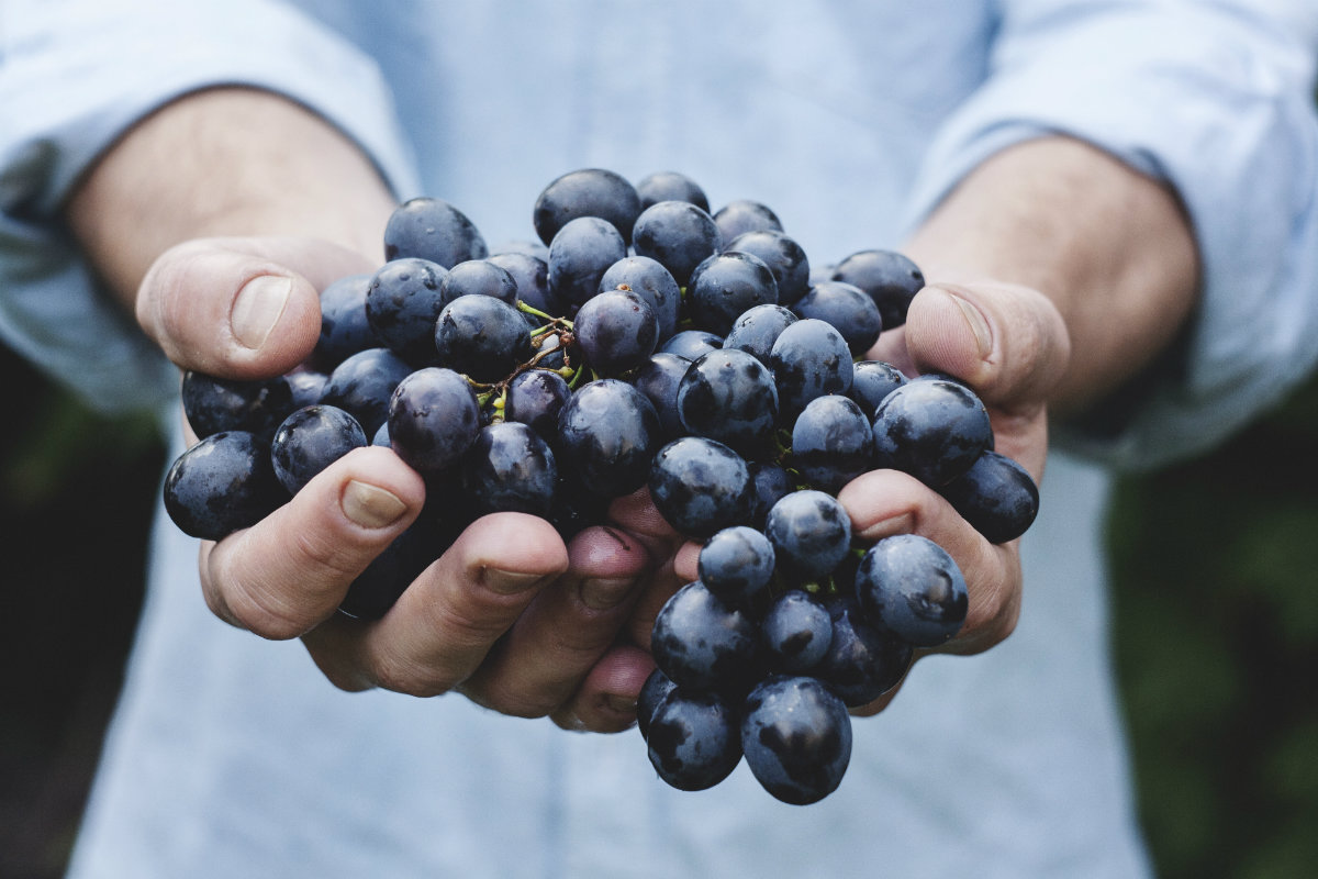 Bio Food: cosa interviene nel processo d’acquisto?