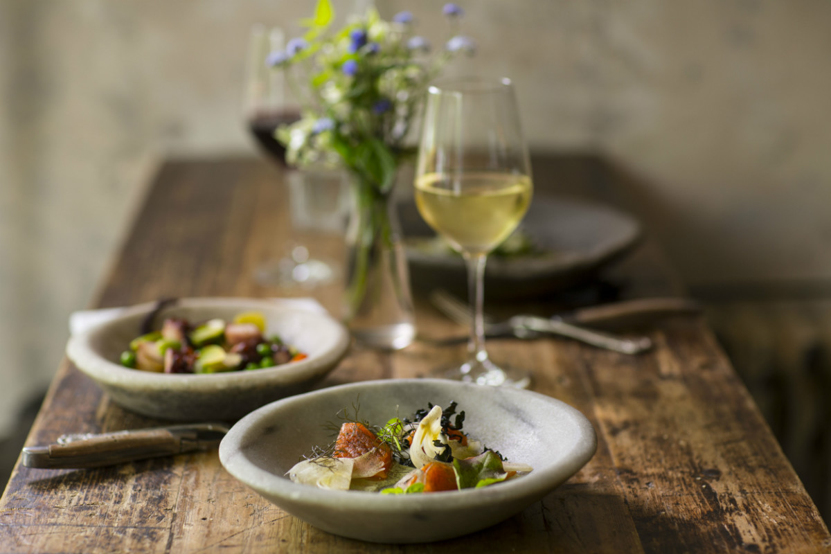 Vino e Cibo Digitali, Bologna apre le porte al Food&Beverage