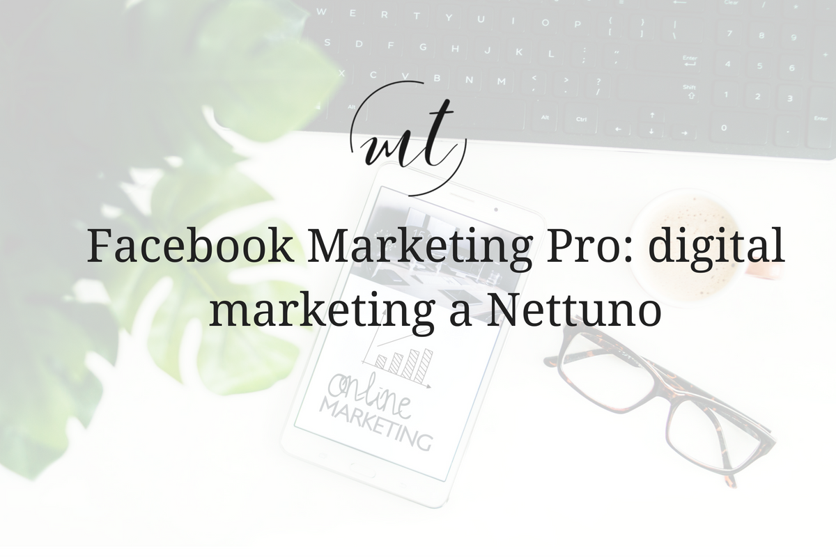 Facebook Marketing Pro: digital marketing a Nettuno